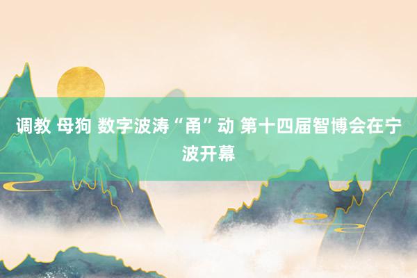 调教 母狗 数字波涛“甬”动 第十四届智博会在宁波开幕
