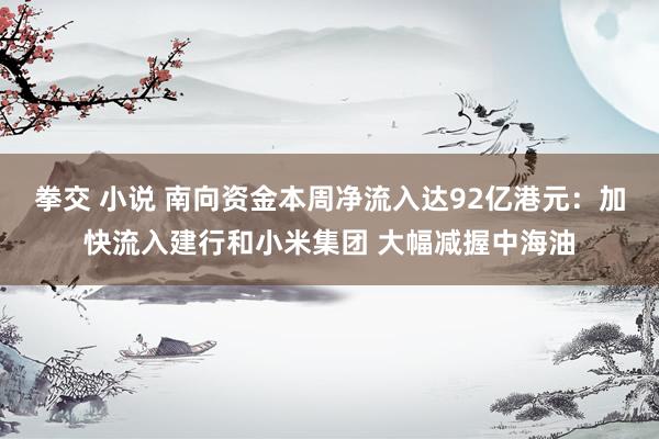 拳交 小说 南向资金本周净流入达92亿港元：加快流入建行和小米集团 大幅减握中海油