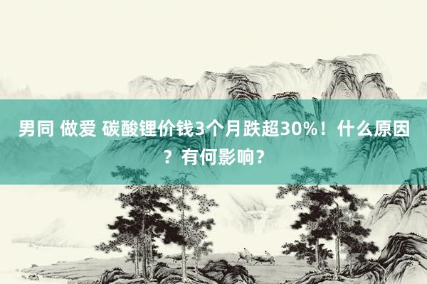 男同 做爱 碳酸锂价钱3个月跌超30%！什么原因？有何影响？