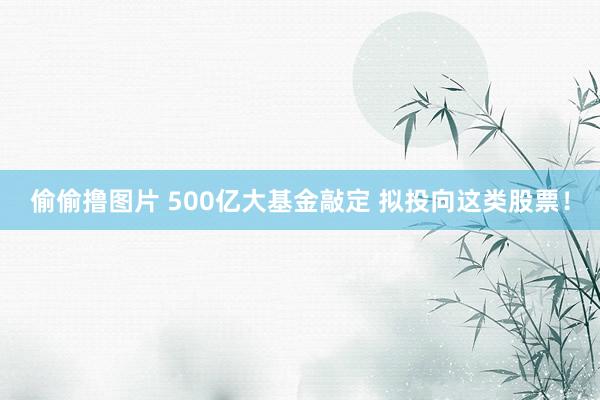 偷偷撸图片 500亿大基金敲定 拟投向这类股票！