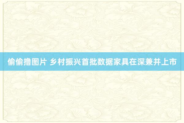 偷偷撸图片 乡村振兴首批数据家具在深兼并上市