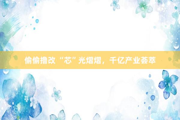 偷偷撸改 “芯”光熠熠，千亿产业荟萃