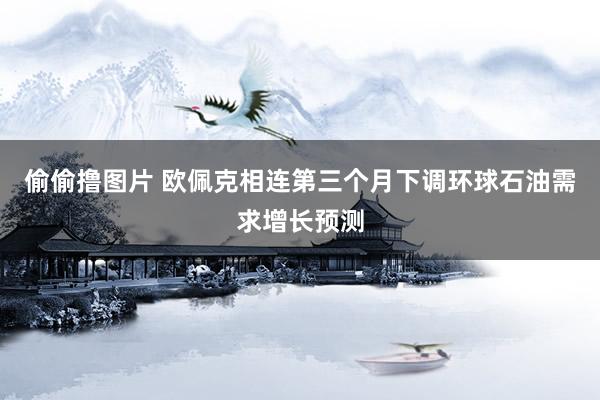 偷偷撸图片 欧佩克相连第三个月下调环球石油需求增长预测