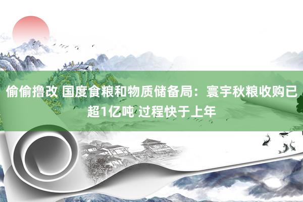 偷偷撸改 国度食粮和物质储备局：寰宇秋粮收购已超1亿吨 过程快于上年