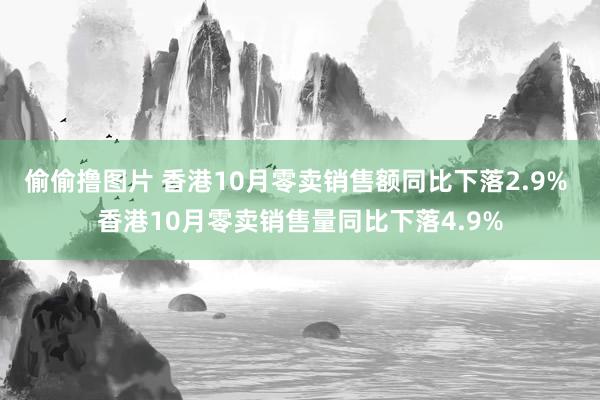 偷偷撸图片 香港10月零卖销售额同比下落2.9% 香港10月零卖销售量同比下落4.9%