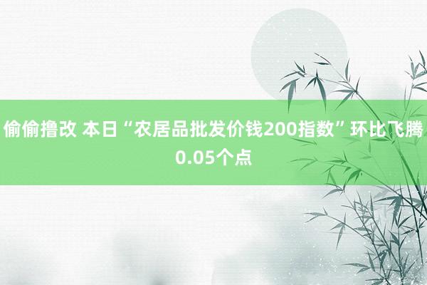 偷偷撸改 本日“农居品批发价钱200指数”环比飞腾0.05个点