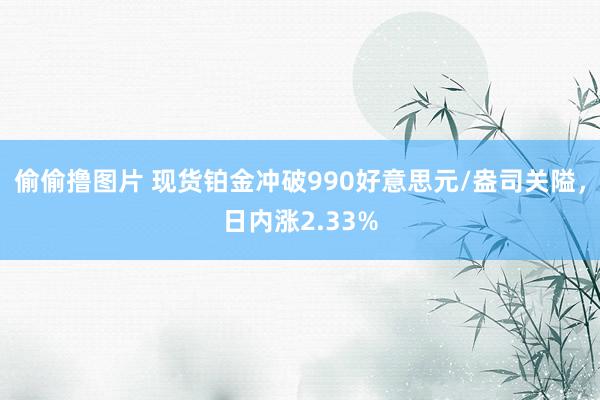 偷偷撸图片 现货铂金冲破990好意思元/盎司关隘，日内涨2.33%