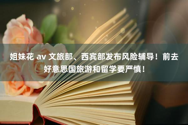 姐妹花 av 文旅部、西宾部发布风险辅导！前去好意思国旅游和留学要严慎！